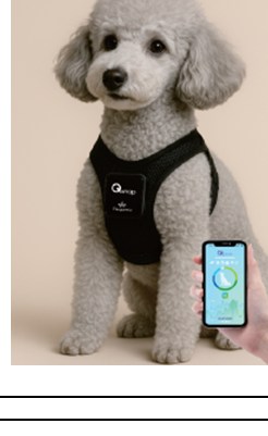 Bio-Feedback 原理を利用した動物用低周波刺激器